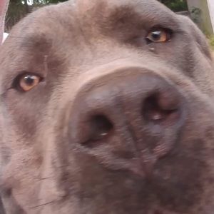 Meet your Posher, Avery